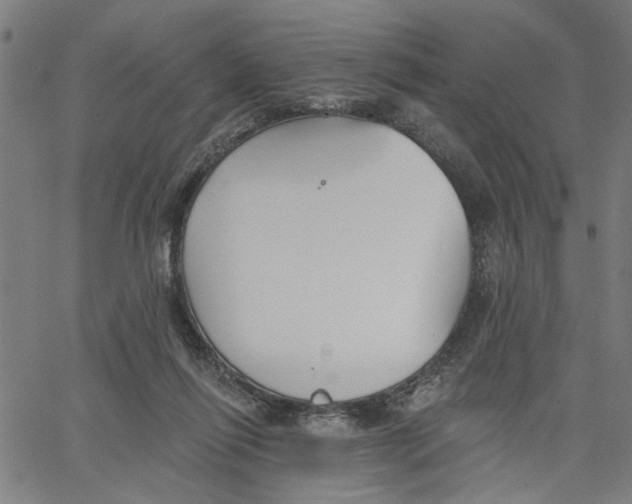 X0000067510262200604281616