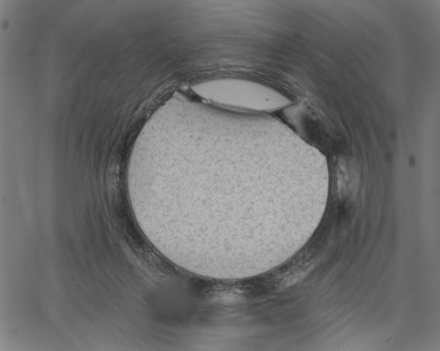 X0000067510263200604281616