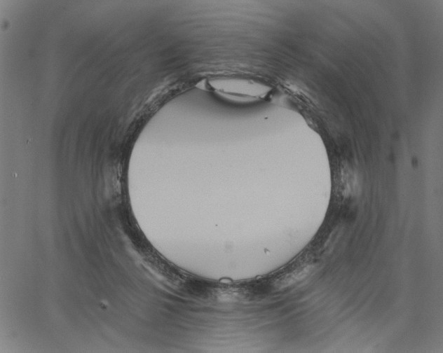 X0000067510264200604281616