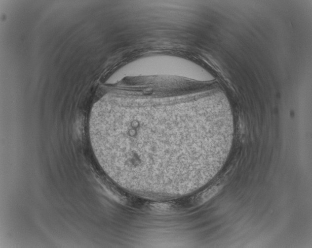 X0000067510265200604281616