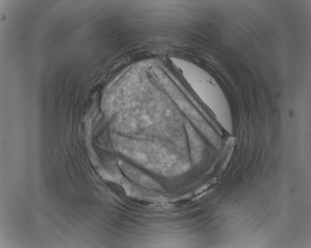 X0000067510266200604281616