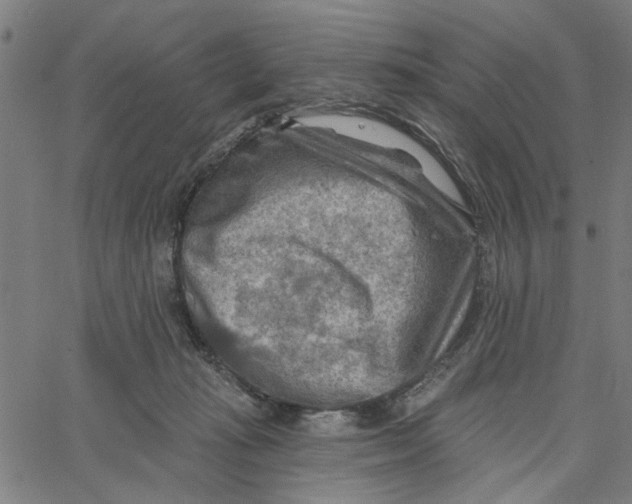 X0000067510269200604281616