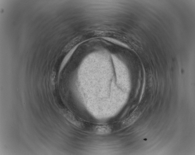 X0000067510275200604281616