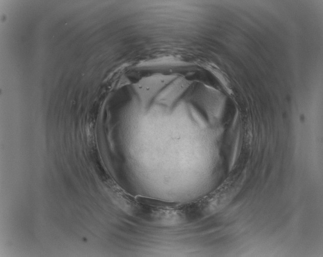 X0000067510276200604281616