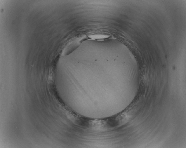 X0000067510277200604281616