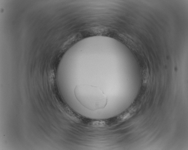 X0000067510279200604281616