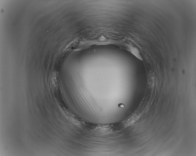 X0000067510280200604281616