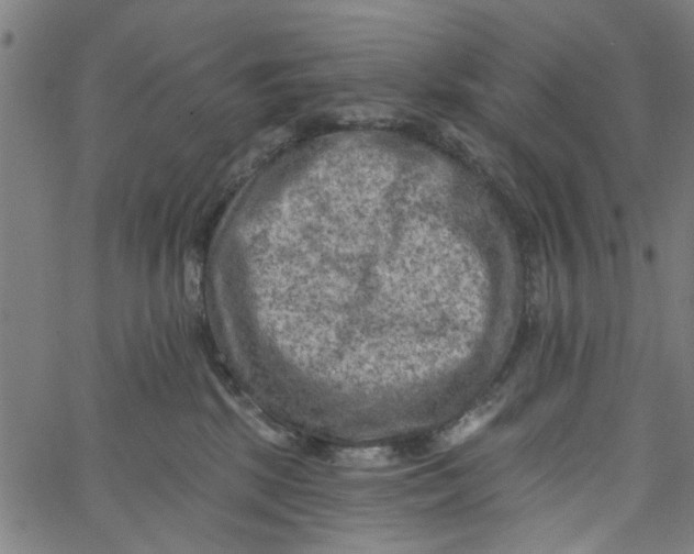 X0000067510281200604281616