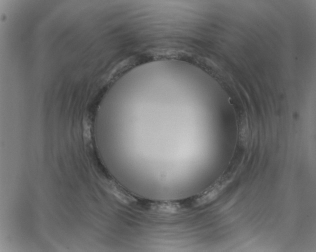 X0000067510282200604281616