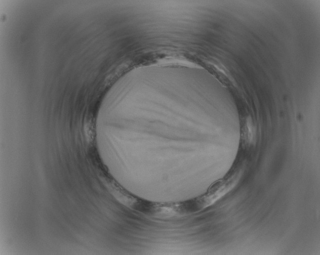 X0000067510285200604281616