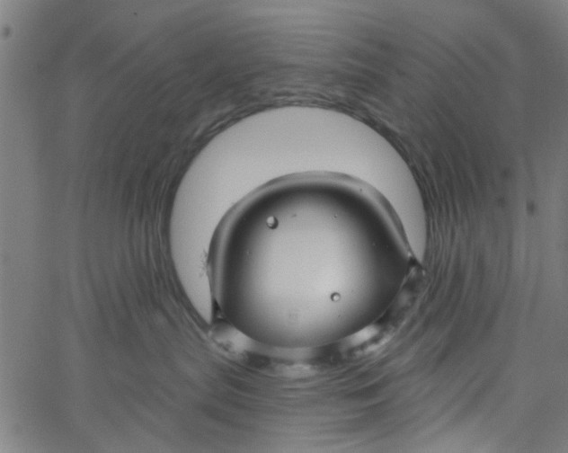 X0000067510287200604281616