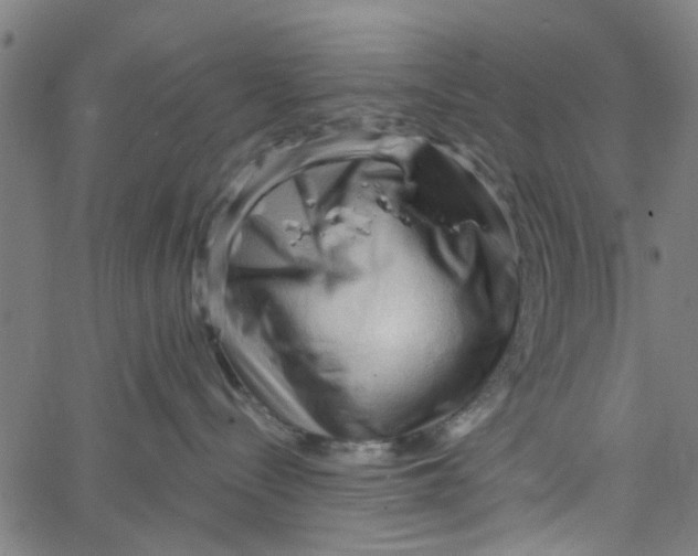 X0000067510288200604281616