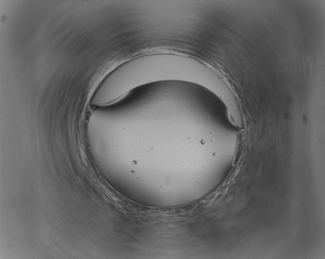 X0000067510289200604281615