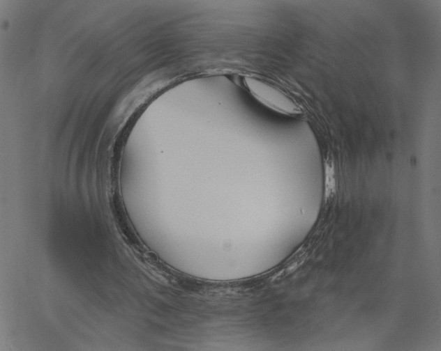 X0000067510291200604281615