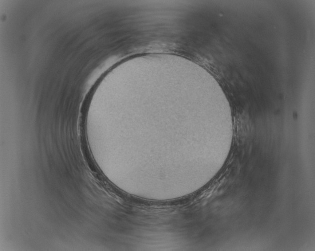 X0000067510292200604281615