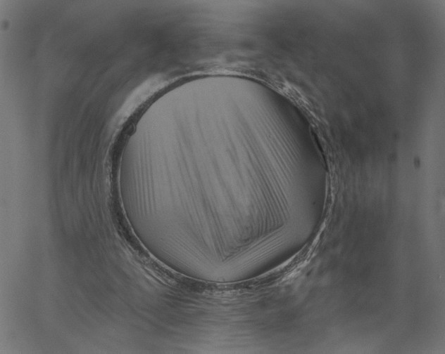 X0000067510295200604281615