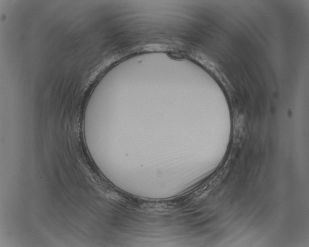 X0000067510297200604281615