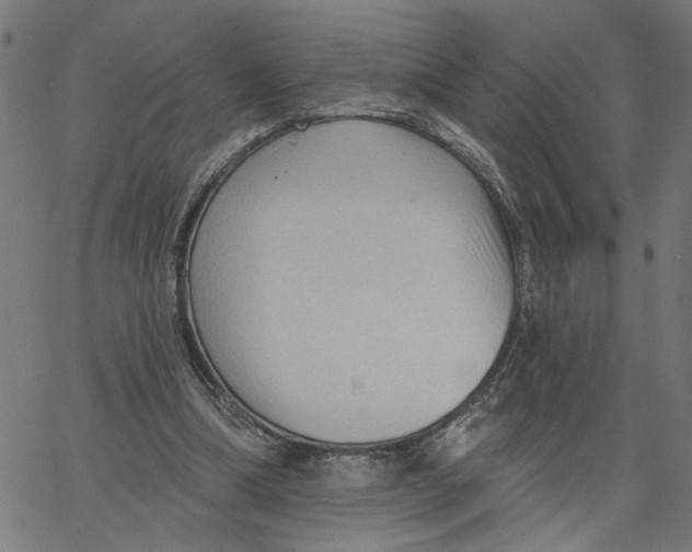 X0000067510298200604281615