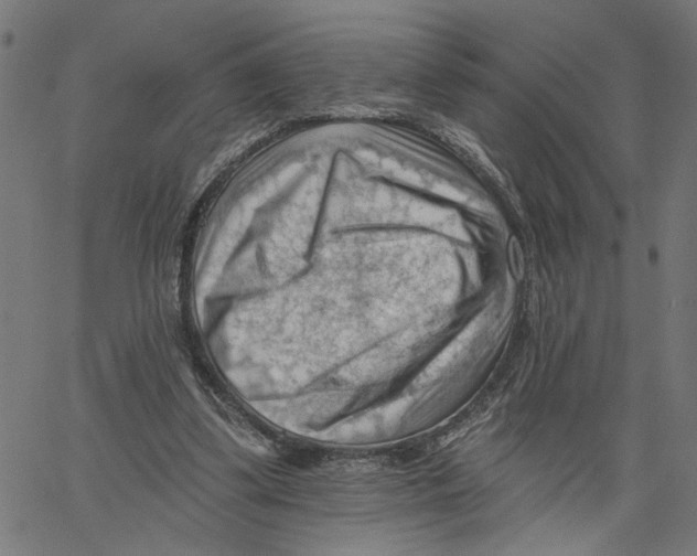 X0000067510299200604281615