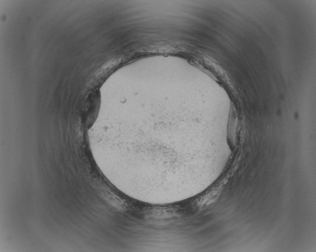 X0000067510305200604281615