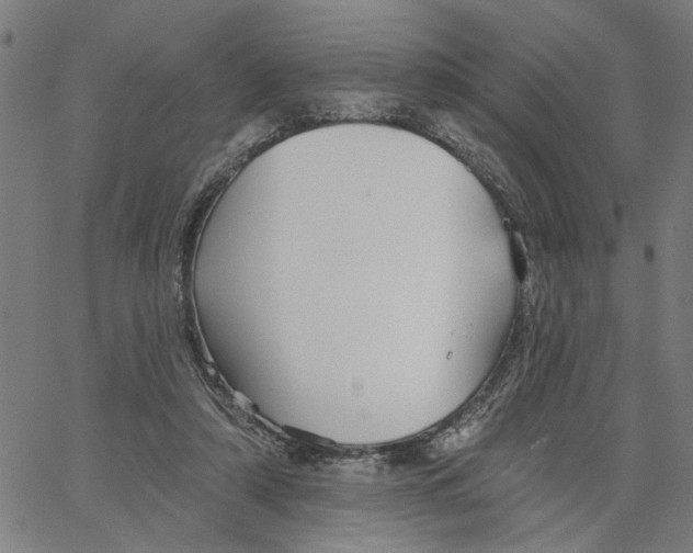 X0000067510306200604281615