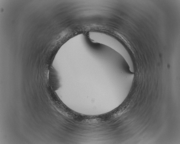 X0000067510307200604281615