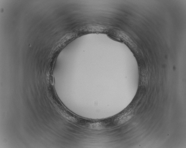 X0000067510309200604281615