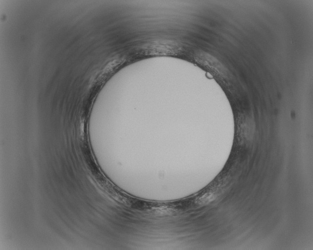 X0000067510310200604281615