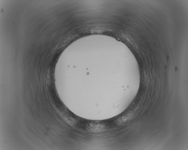 X0000067510311200604281615