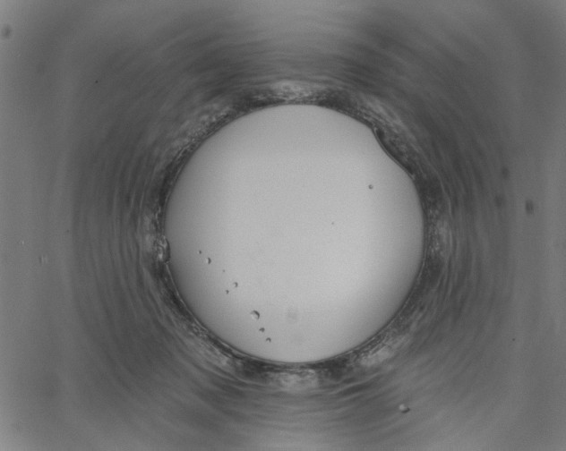 X0000067510317200604281615