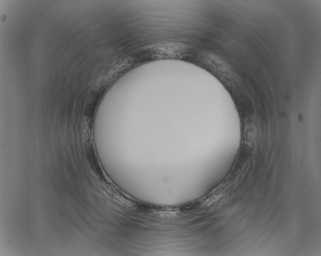 X0000067510318200604281615