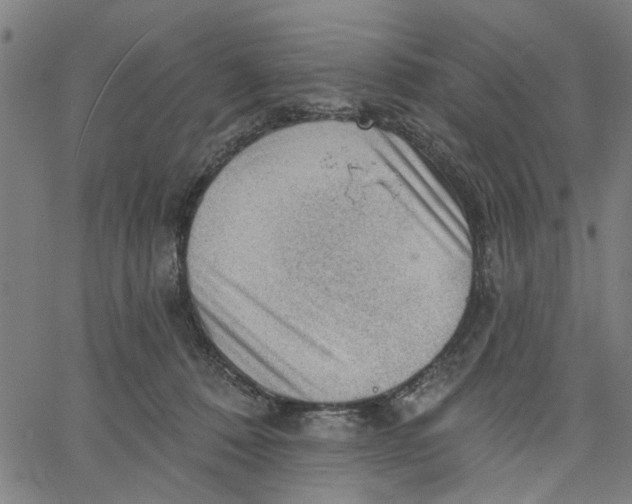 X0000067510320200604281615