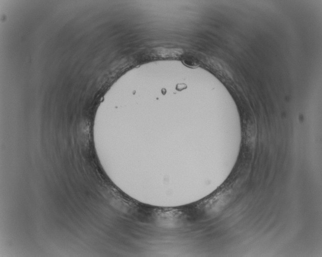 X0000067510321200604281615