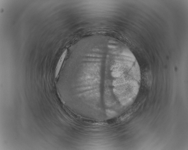 X0000067510323200604281615