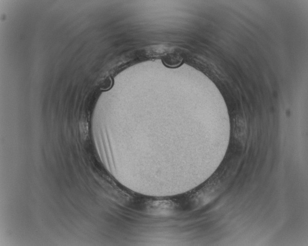 X0000067510324200604281615