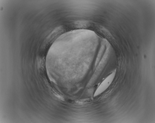 X0000067510325200604281615