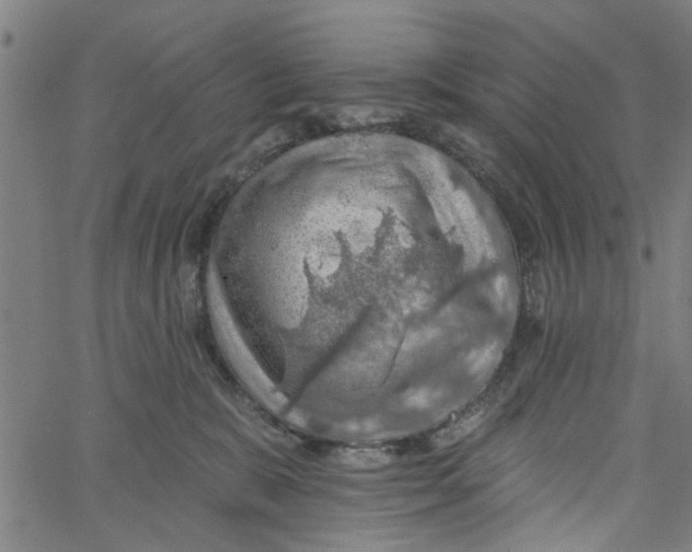 X0000067510327200604281615