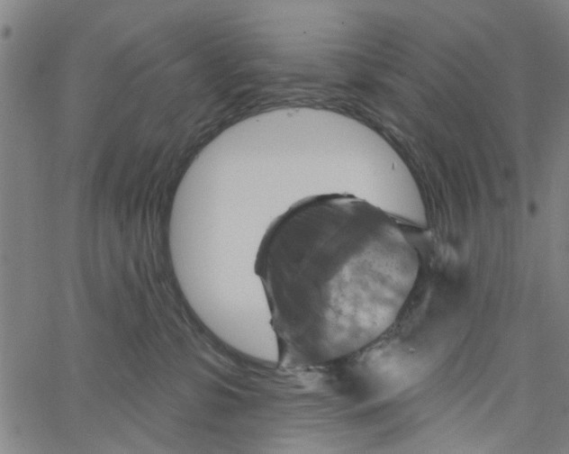 X0000067510331200604281615