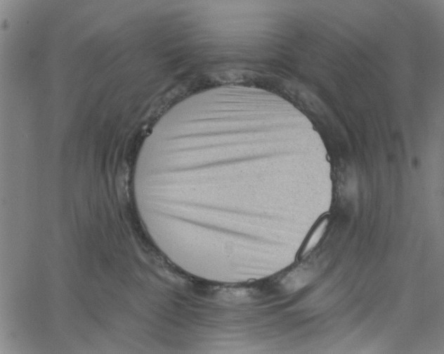 X0000067510332200604281615