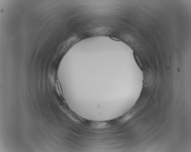 X0000067510334200604281615