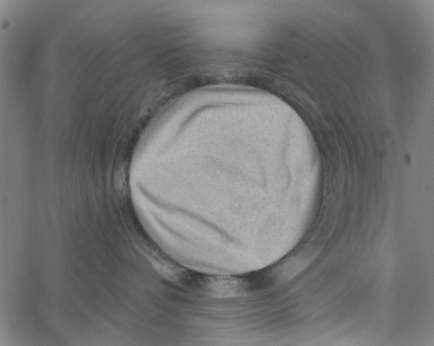 X0000067510336200604281615