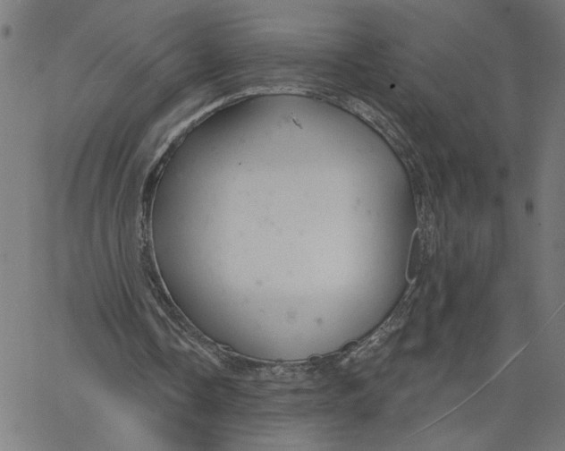 X0000067510338200604281614