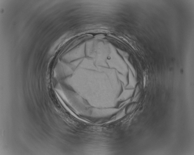 X0000067510339200604281614