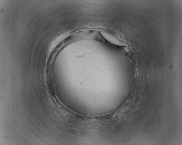 X0000067510340200604281614