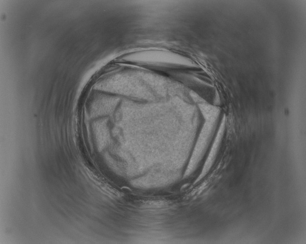 X0000067510342200604281614