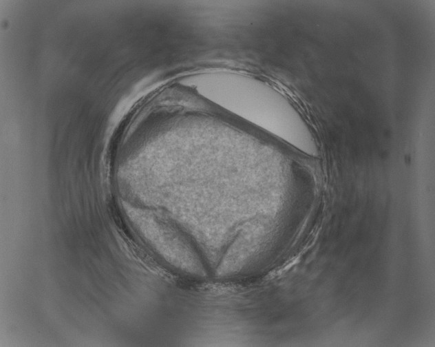 X0000067510343200604281614