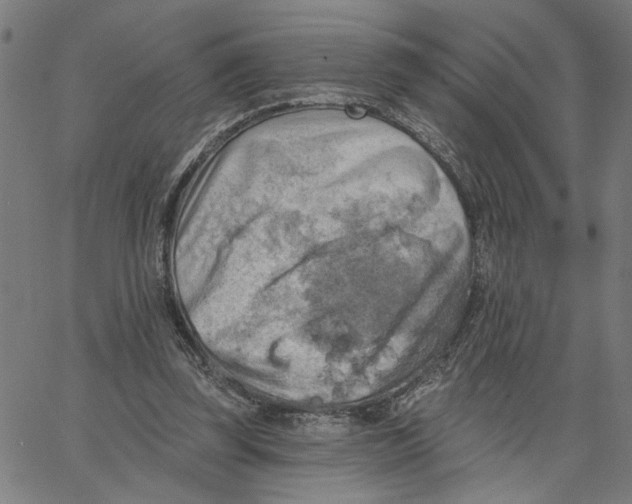 X0000067510347200604281614