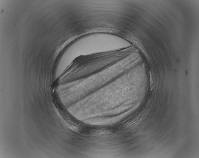 X0000067510348200604281614