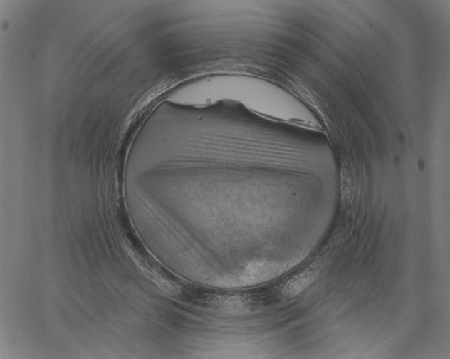 X0000067510349200604281614