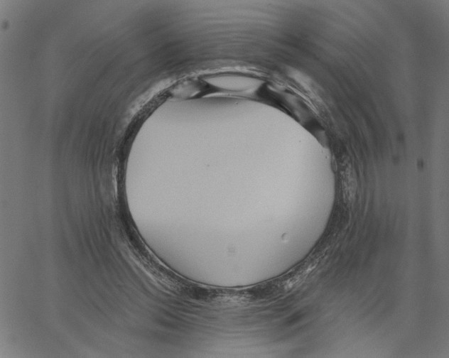 X0000067510350200604281614